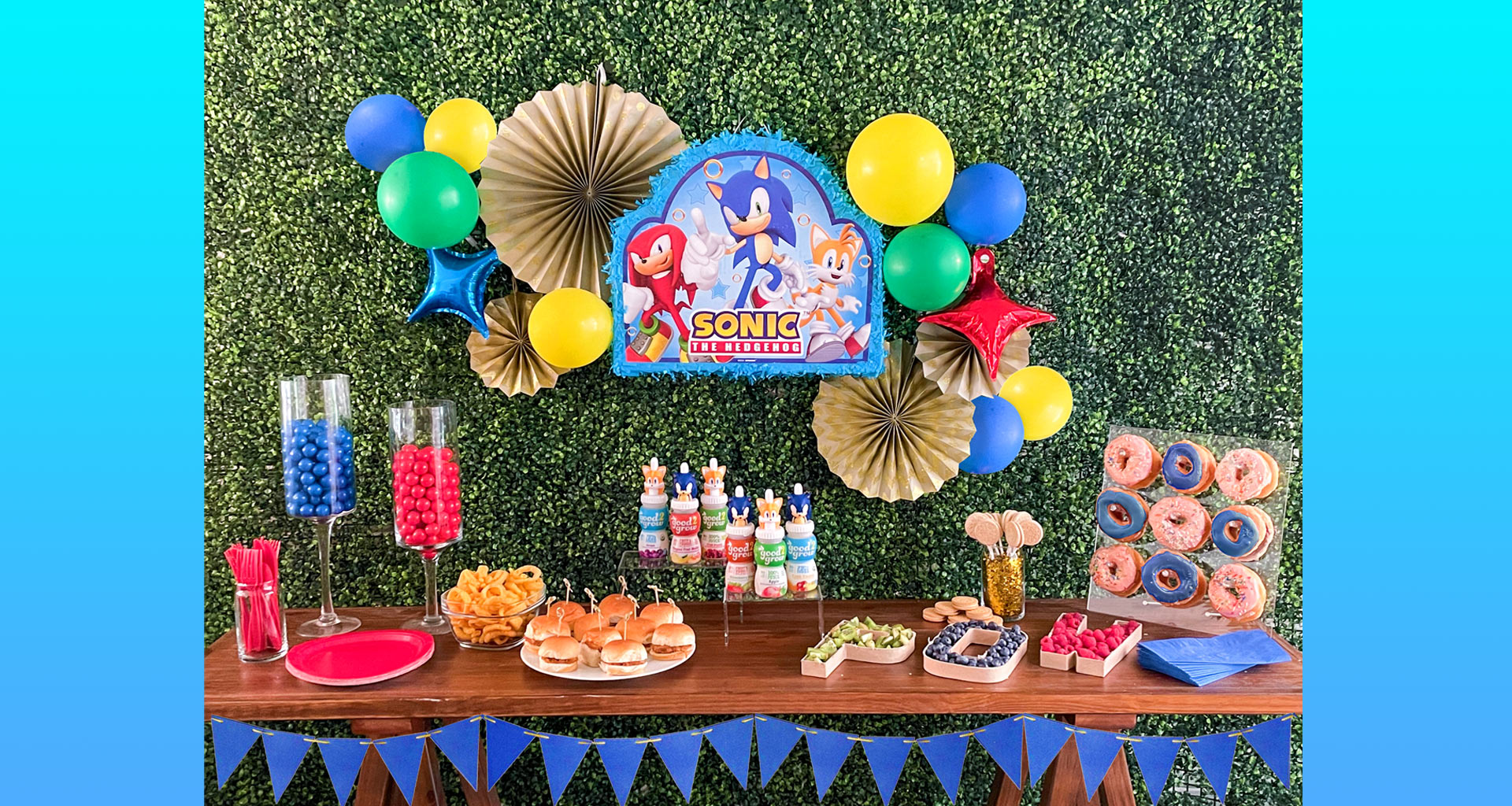 Birthday Party Decorations/ Supplies Sonic Themed